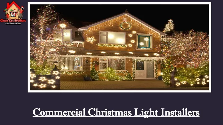 commercial christmas light installers