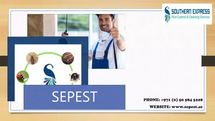 sepest