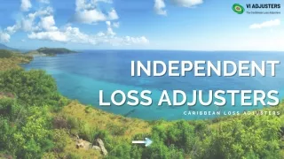 Loss Adjusters in Saint Martin Islands
