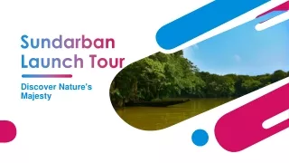 Sundarban Launch Tour: Discover Nature's Majesty