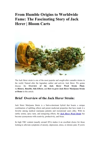 From Humble Origins to Worldwide Fame - The Fascinating Story of Jack Herer - Bloom Carts