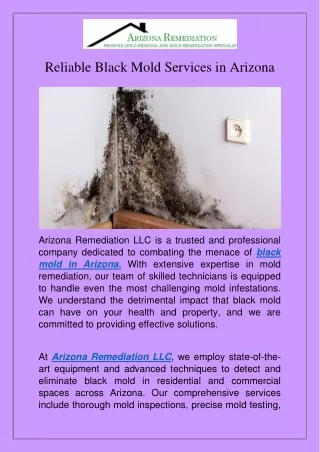 Reliable Black Mold Services in Arizona