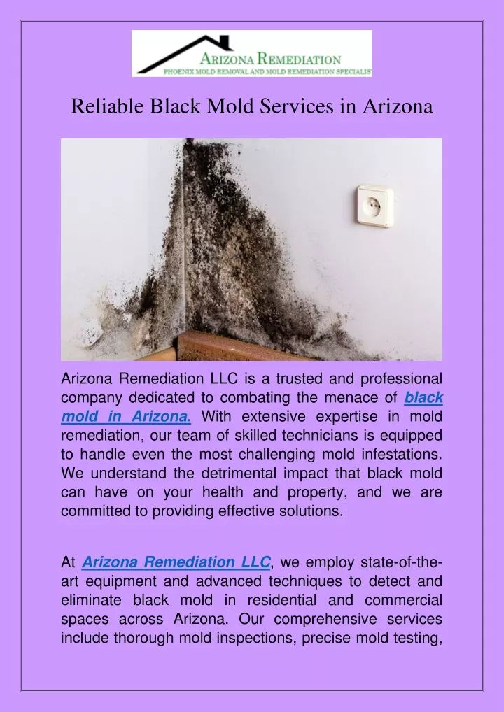 reliable black mold services in arizona