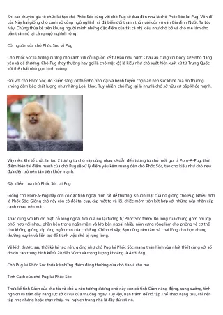 Những điều bạn nên biết về như là Chó Phốc Sóc Lai Pug