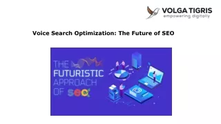 Voice Search Optimization The Future of SEO | Volga Tigris