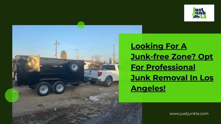 looking for a junk free zone opt for professional