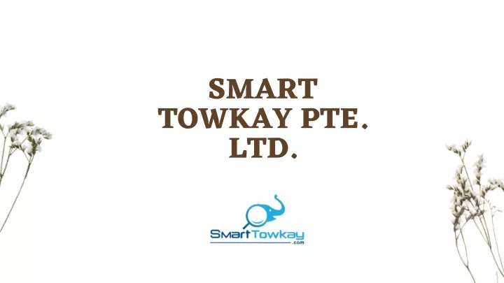 smart towkay pte ltd