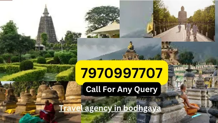 7970997707 call for any query