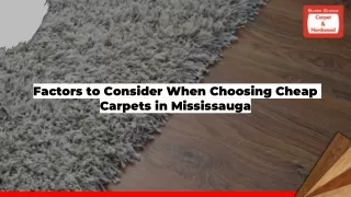 Cheap Carpets in Mississauga: Enhance Your Space Without Overspending