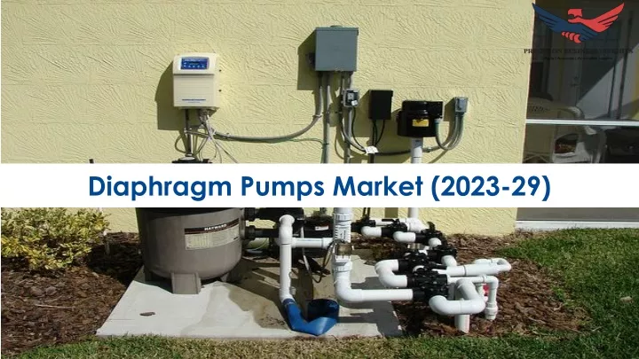 diaphragm pumps market 2023 29