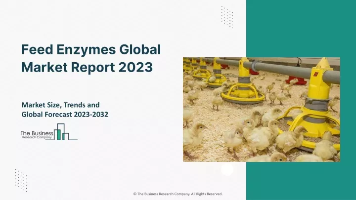 feed enzymes global market report 2023