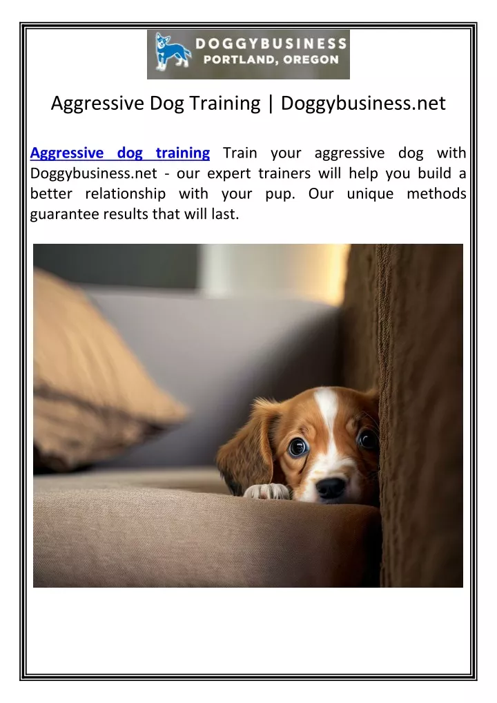 aggressive dog training doggybusiness net