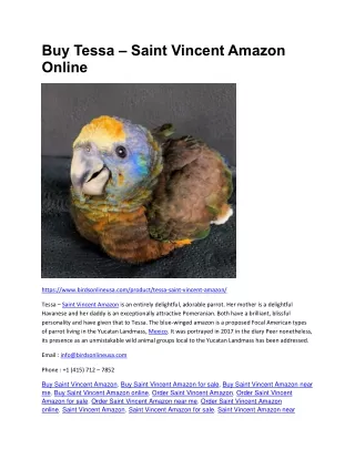 Buy Tessa – Saint Vincent Amazon Online