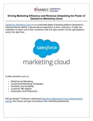 Driving Marketing Efficiency and Revenue Unleashing the Power of Salesforce Mark