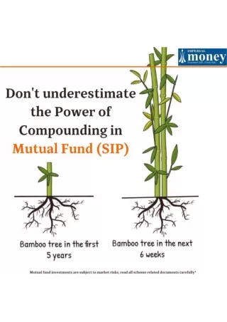 Grow Wealth Exponentially - Power of Compounding in Mutual Funds