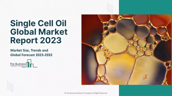 single cell oil global market report 2023