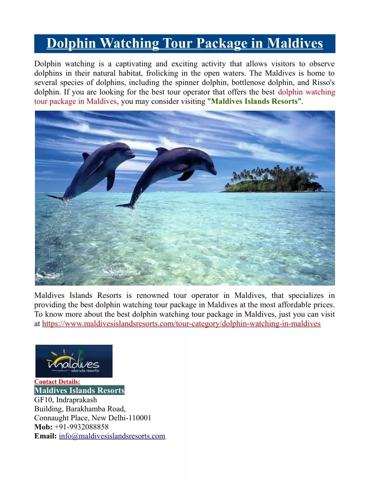 dolphin watching tour package in maldives