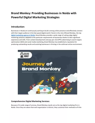Brand Monkey Providing Businesses in Noida with Powerful Digital Marketing Strategies