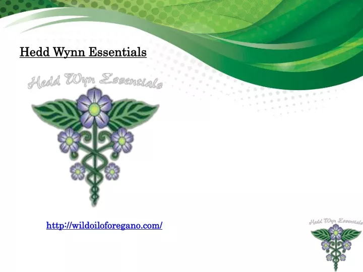 hedd wynn essentials