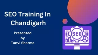 seo training in Chandigarh.12