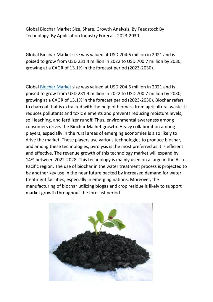 global biochar market size share growth analysis