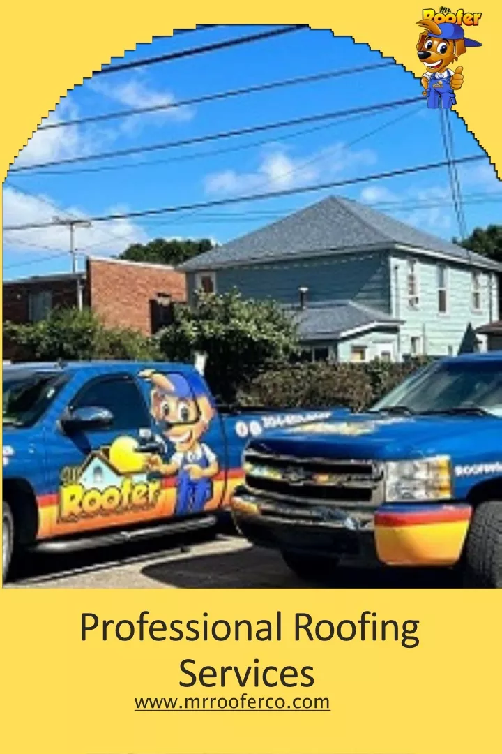 professional roofing services