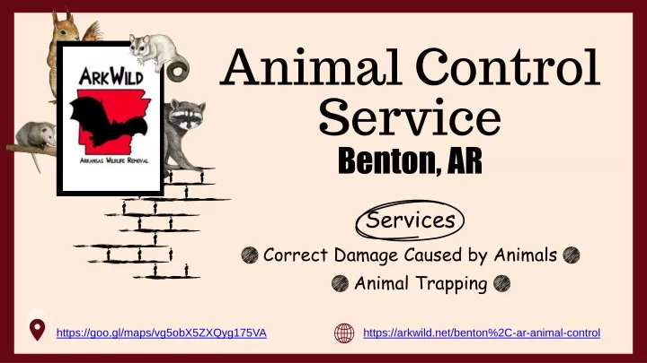 animal control service