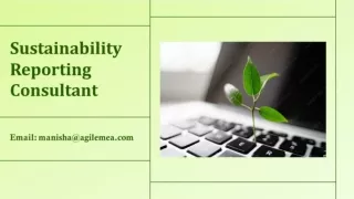 Reporting on Sustainability Services