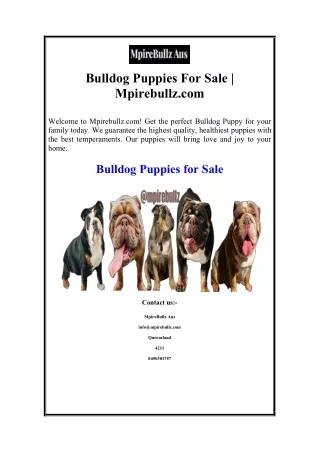 Bulldog Puppies For Sale  Mpirebullz.com