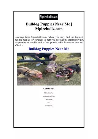 Bulldog Puppies Near Me  Mpirebullz.com