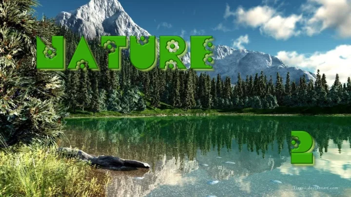 nature 2