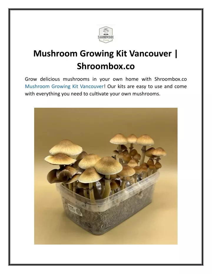 mushroom growing kit vancouver shroombox co