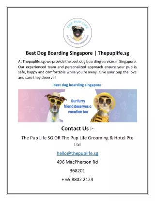 Best Dog Boarding Singapore | Thepuplife.sg