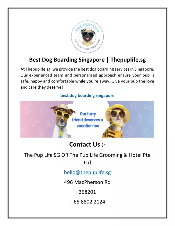 best dog boarding singapore thepuplife sg