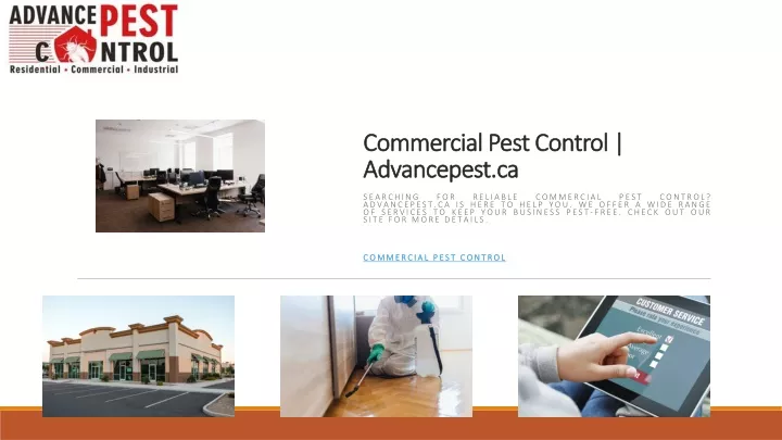 commercial pest control commercial pest control