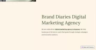 Brand Diaries Digital Marketing Agency in Gurgaon