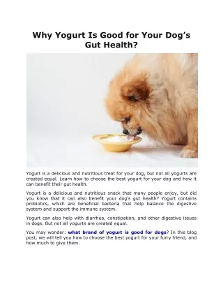 Why Yogurt Is Good for Your Dog’s Gut Health