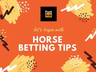 Punt Hub's Australian Horse Racing Insights for Today