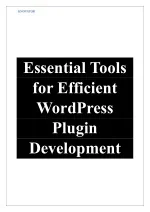 Essential Tools for Efficient WordPress Plugin Development - slide 1