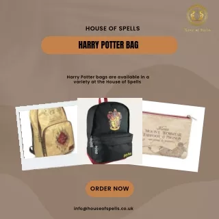 Harry Potter Bag