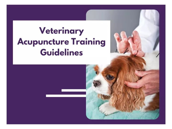 veterinary acupuncture training guidelines