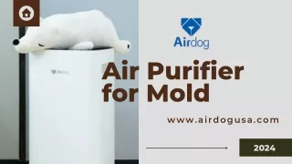 Top Air Purifier for Mold: Eliminate Mold Spores with Airdog's Powerful Solution
