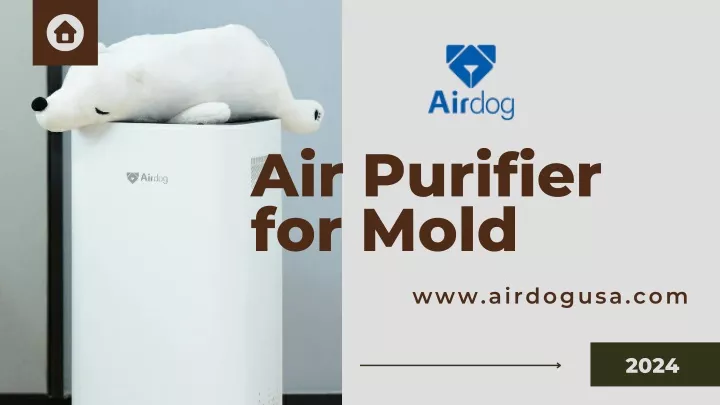 air purifier for mold