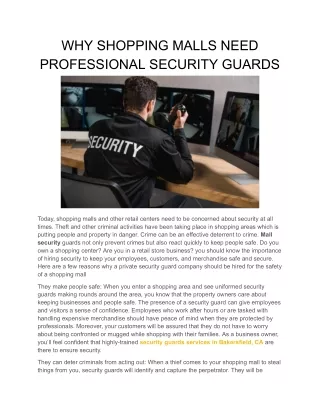 why shopping malls need professional security