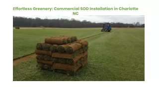 Effortless Greenery Commercial SOD Installation in Charlotte NC