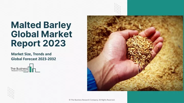 malted barley global market report 2023