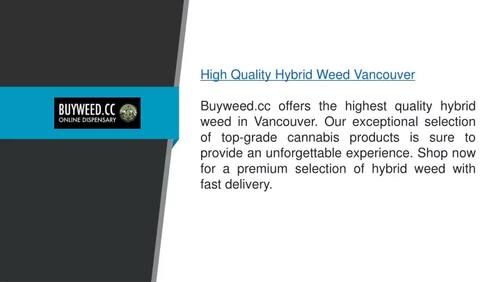 high quality hybrid weed vancouver buyweed