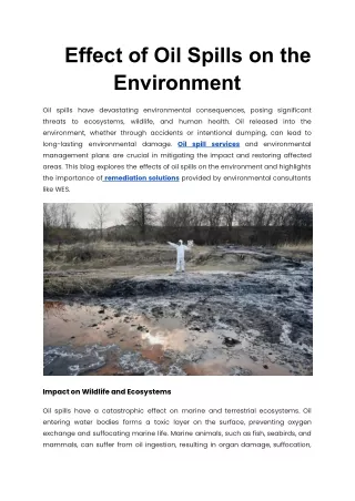 Effect of Oil Spills on the Environment