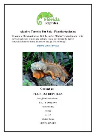 Aldabra Tortoise For Sale  Floridareptiles.us