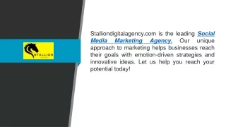 Social Media Marketing Agency  Stalliondigitalagency.com